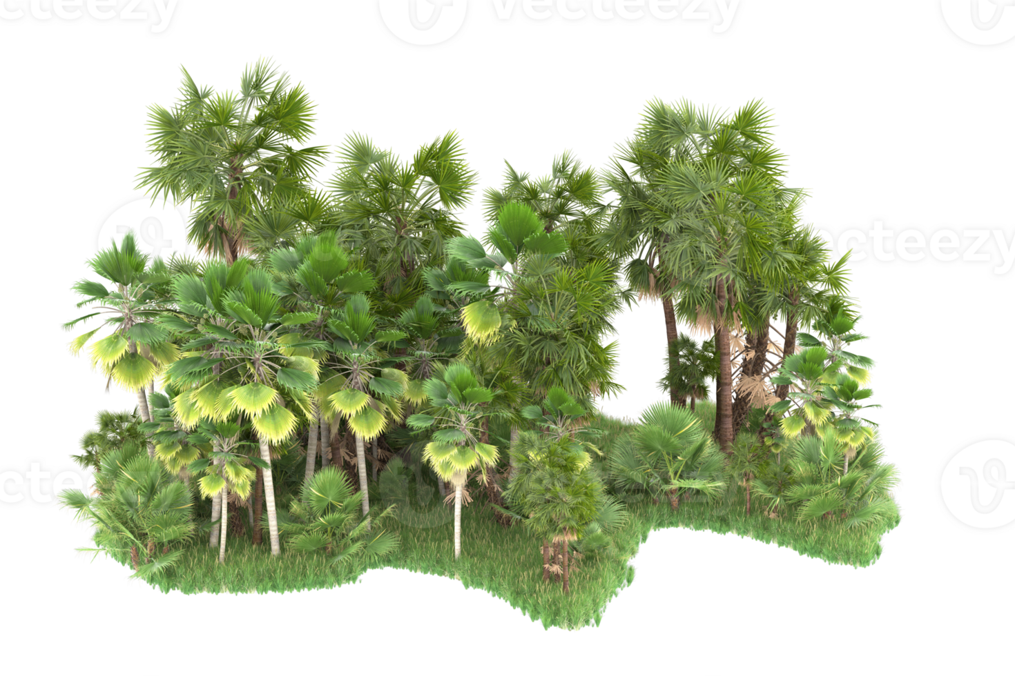 Realistic forest isolated on transparent background. 3d rendering - illustration png
