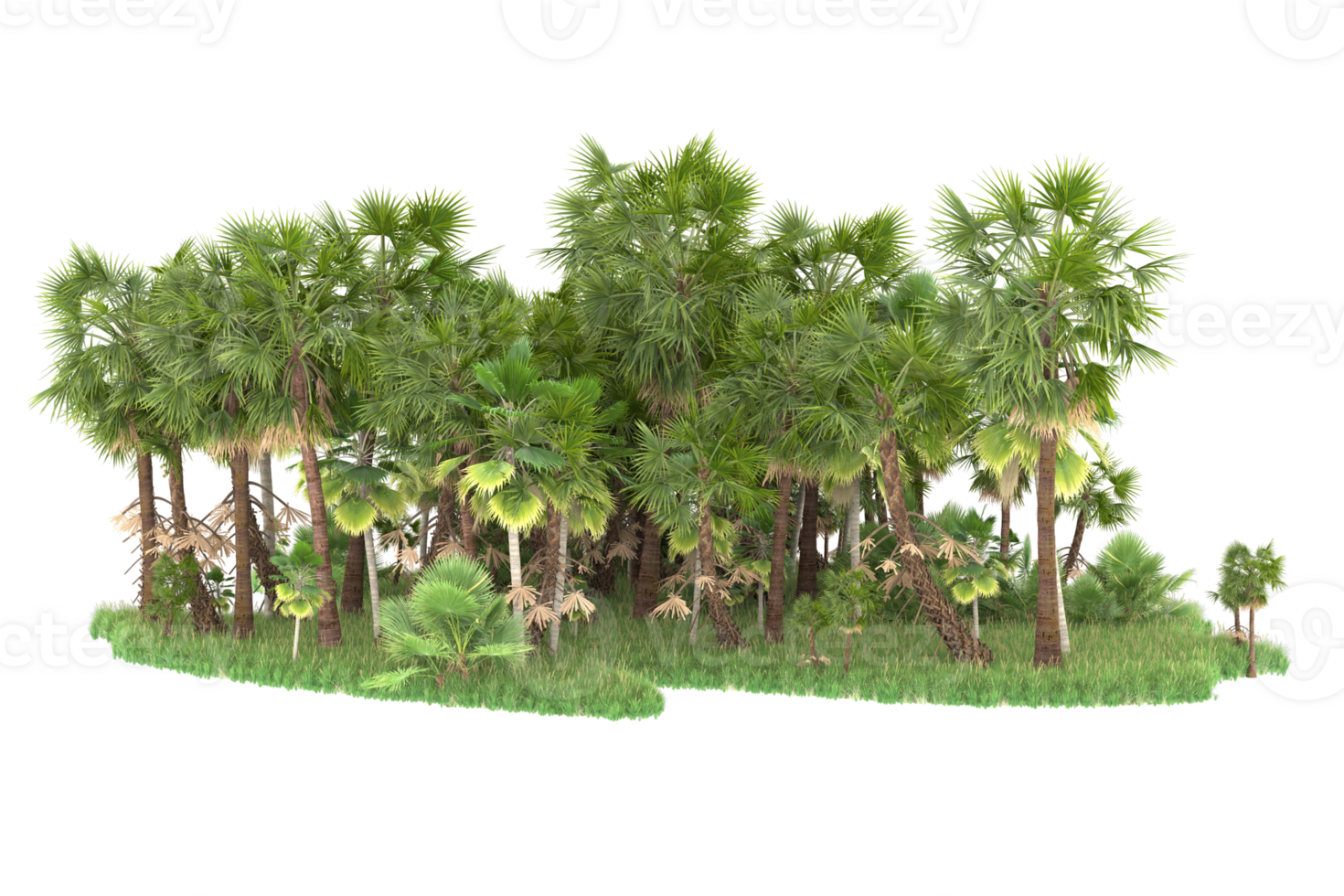 Realistic forest isolated on transparent background. 3d rendering - illustration png