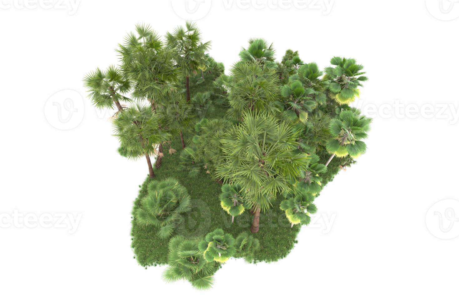Realistic forest isolated on transparent background. 3d rendering - illustration png