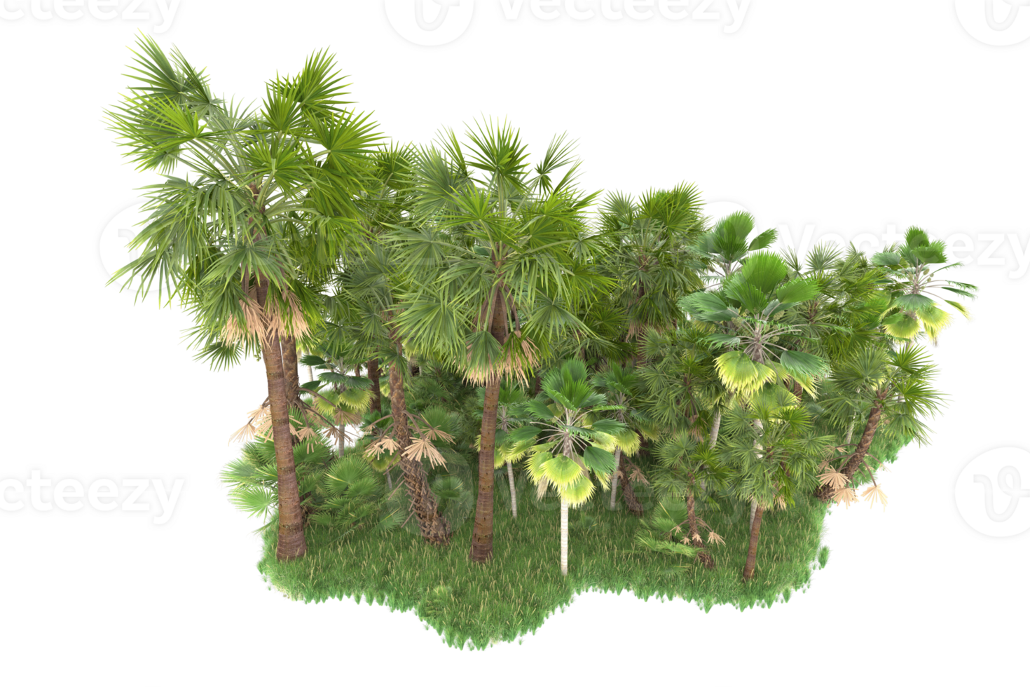 Realistic forest isolated on transparent background. 3d rendering - illustration png