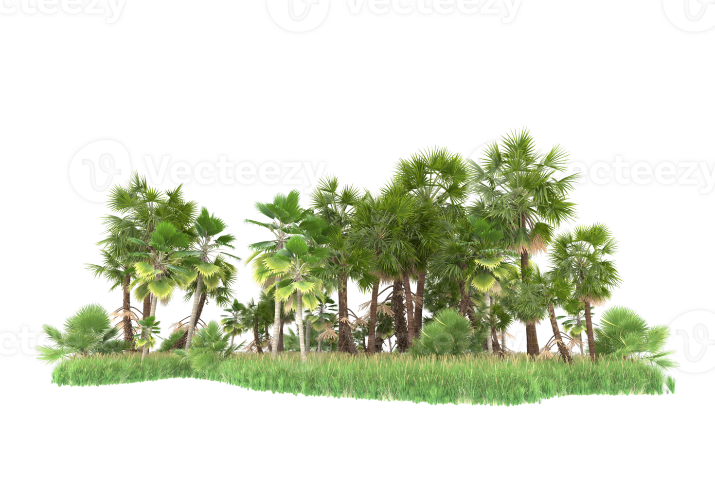 Realistic forest isolated on transparent background. 3d rendering - illustration png