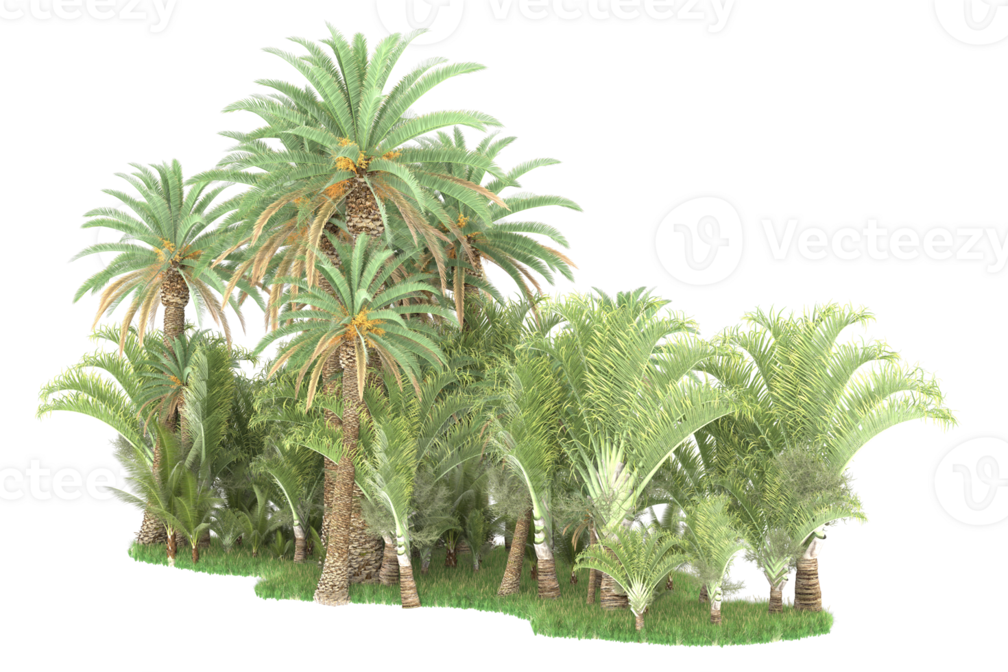 Realistic forest isolated on transparent background. 3d rendering - illustration png