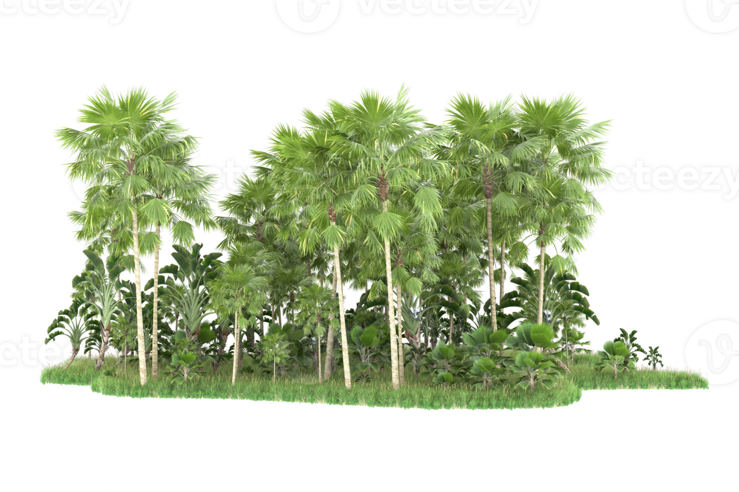 Realistic forest isolated on transparent background. 3d rendering - illustration png
