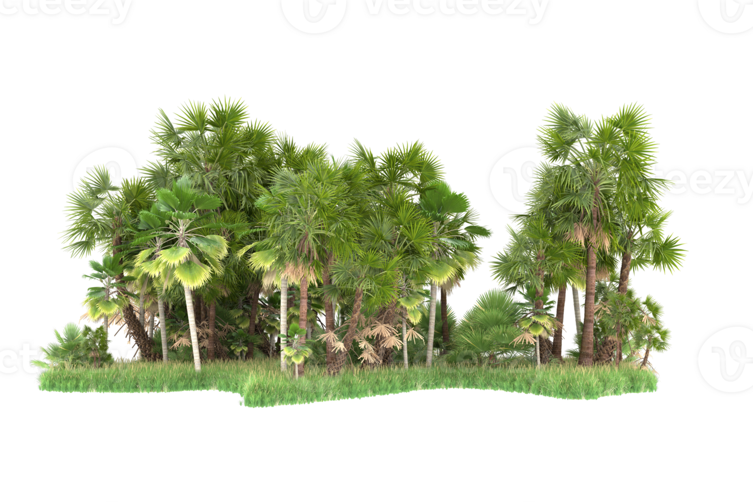 Realistic forest isolated on transparent background. 3d rendering - illustration png