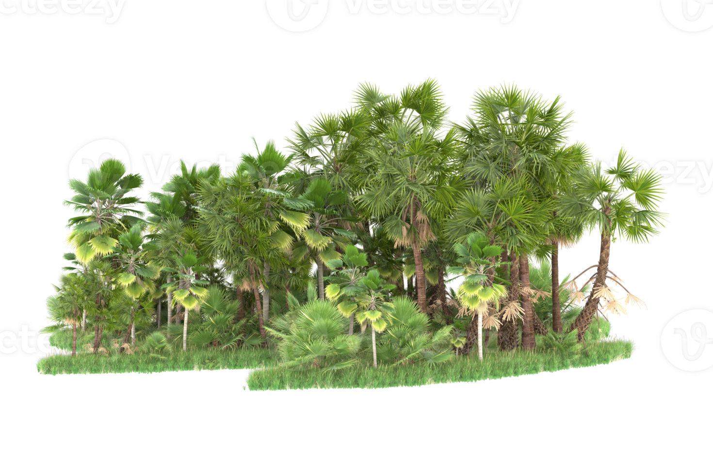 Realistic forest isolated on transparent background. 3d rendering - illustration png