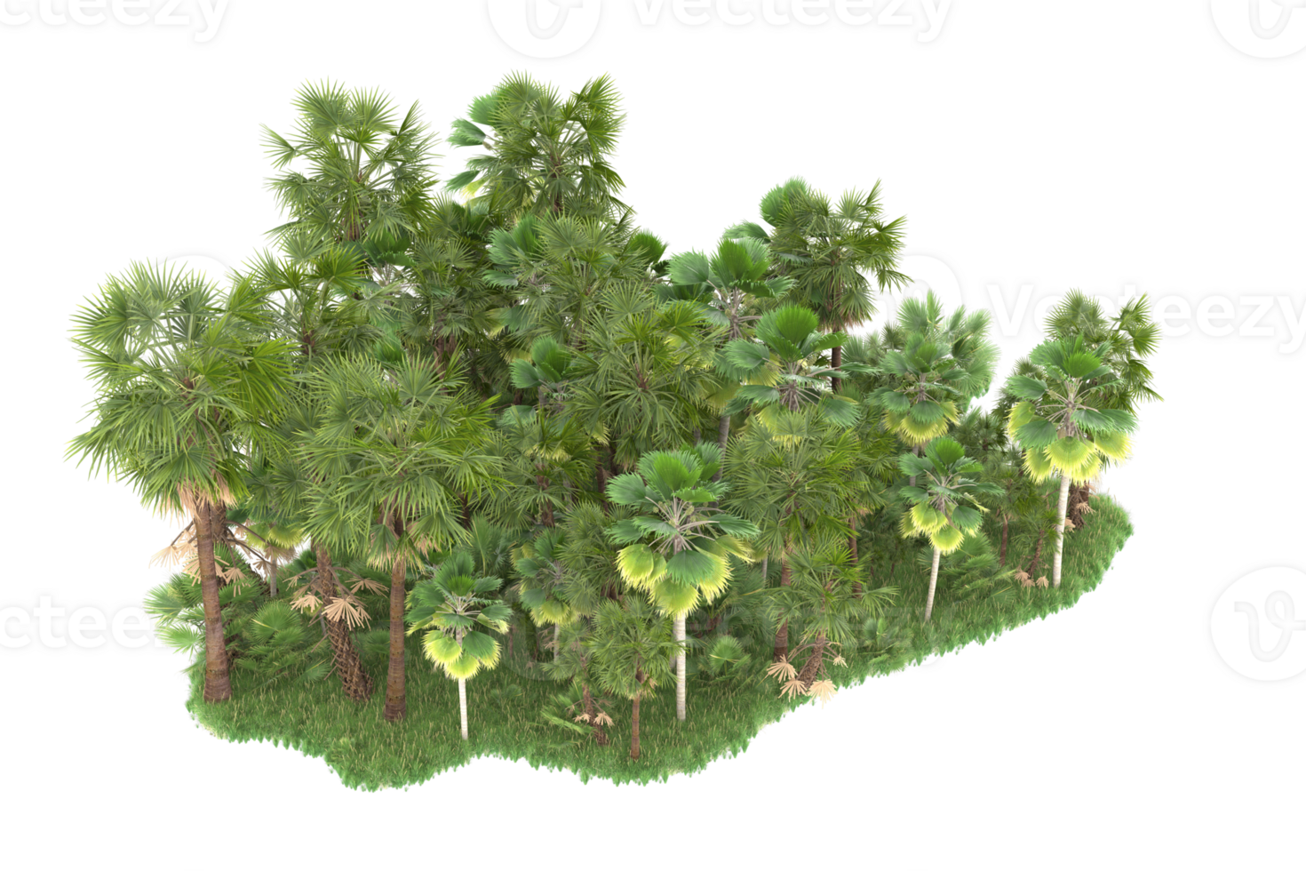 Realistic forest isolated on transparent background. 3d rendering - illustration png
