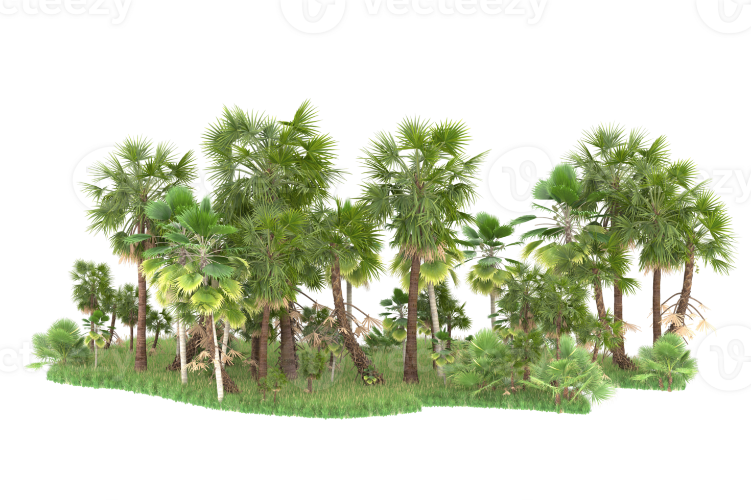 Realistic forest isolated on transparent background. 3d rendering - illustration png