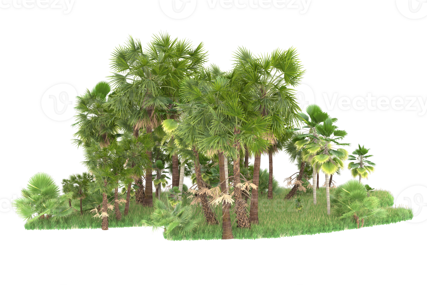 Realistic forest isolated on transparent background. 3d rendering - illustration png