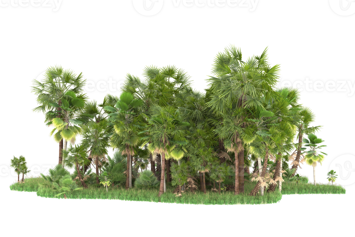 Realistic forest isolated on transparent background. 3d rendering - illustration png
