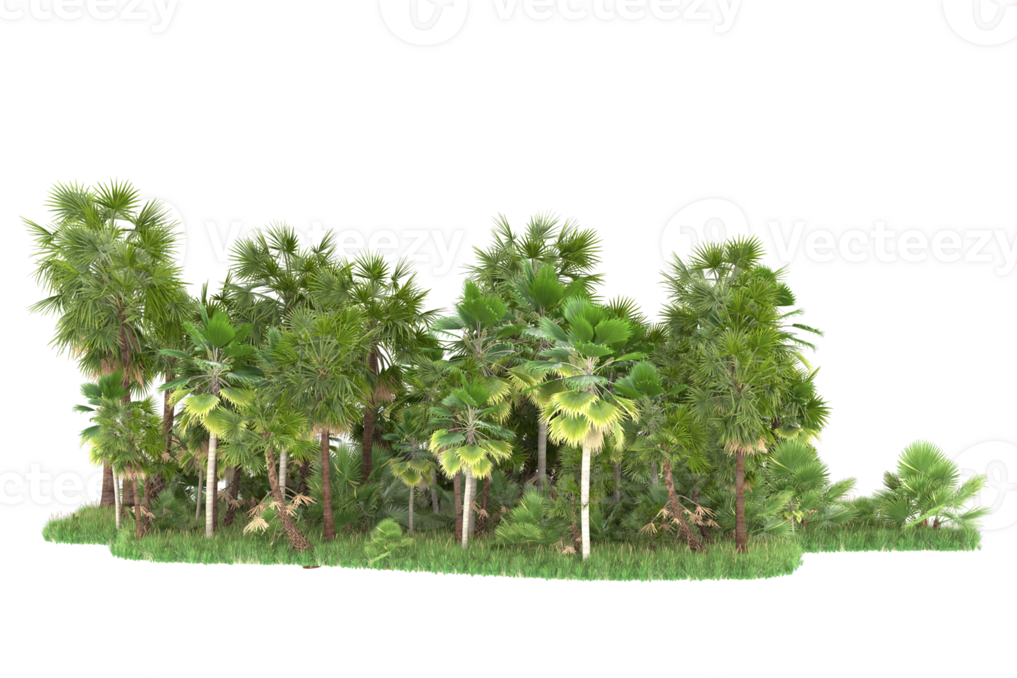 Realistic forest isolated on transparent background. 3d rendering - illustration png