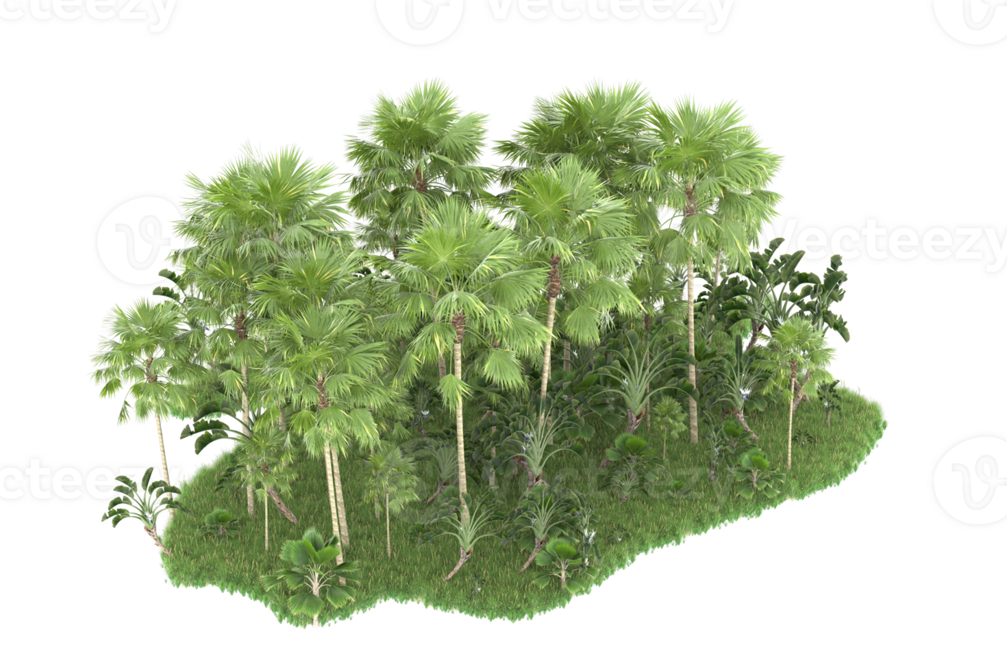 Realistic forest isolated on transparent background. 3d rendering - illustration png