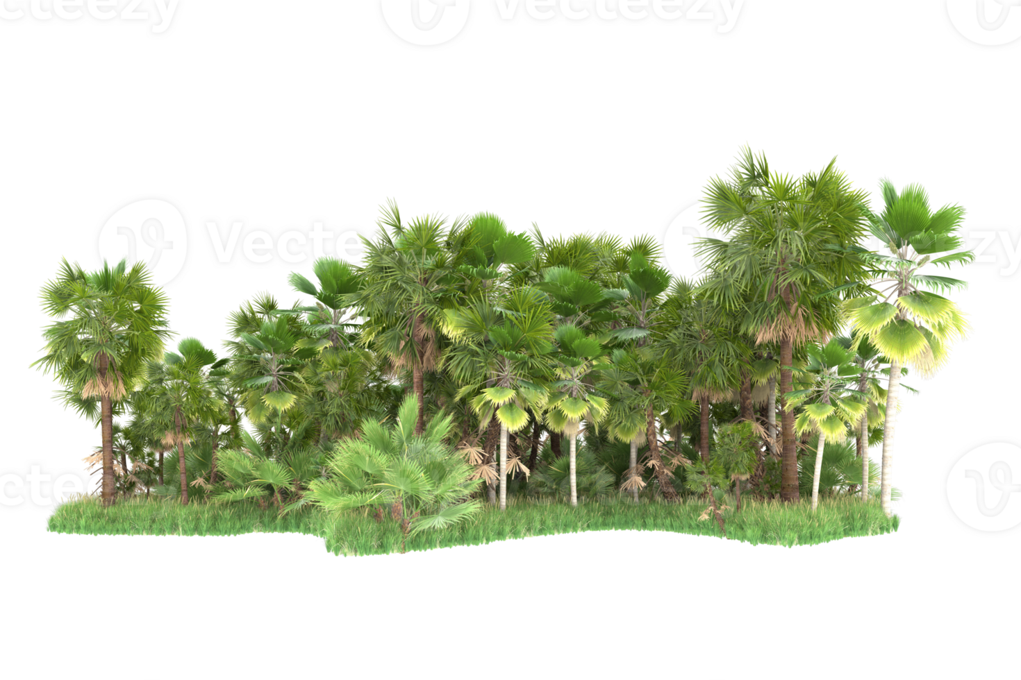 Realistic forest isolated on transparent background. 3d rendering - illustration png