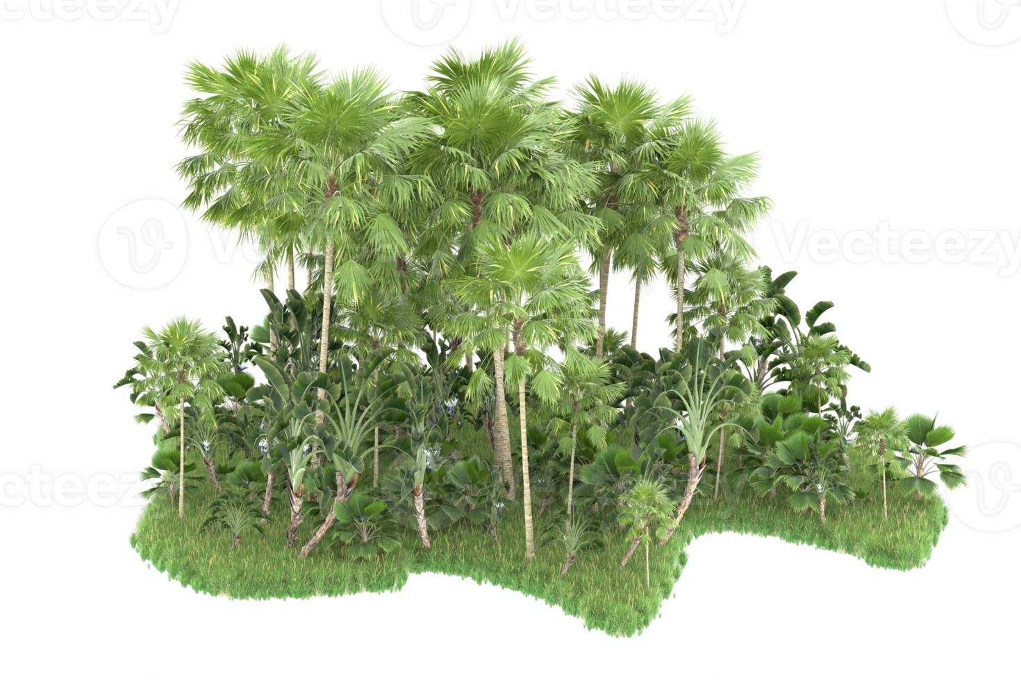 Realistic forest isolated on transparent background. 3d rendering - illustration png
