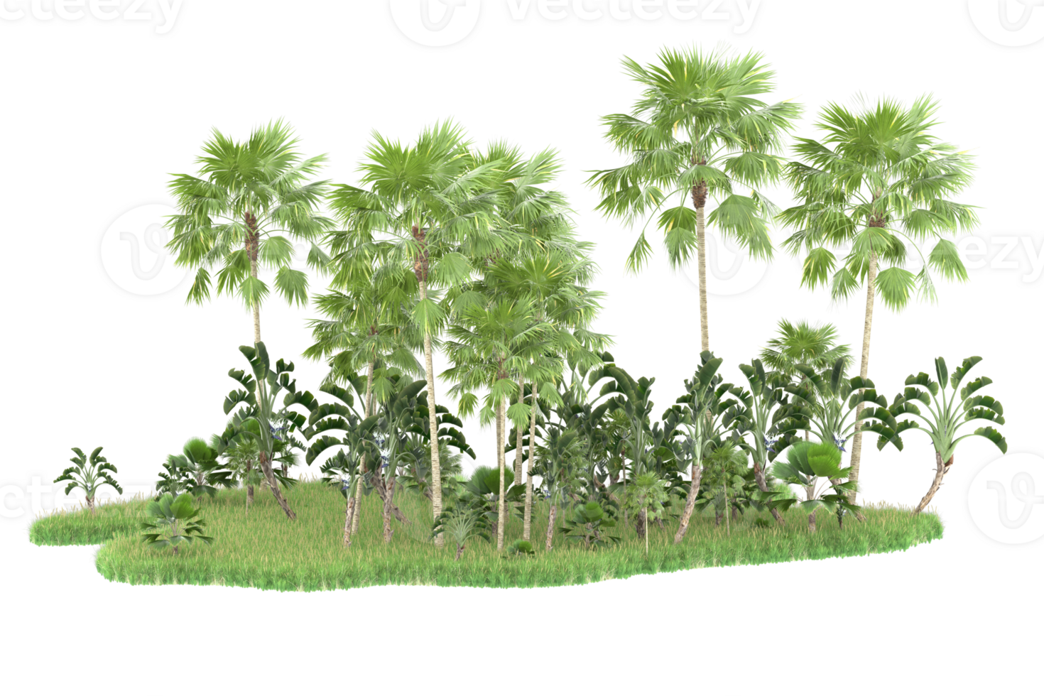 Realistic forest isolated on transparent background. 3d rendering - illustration png