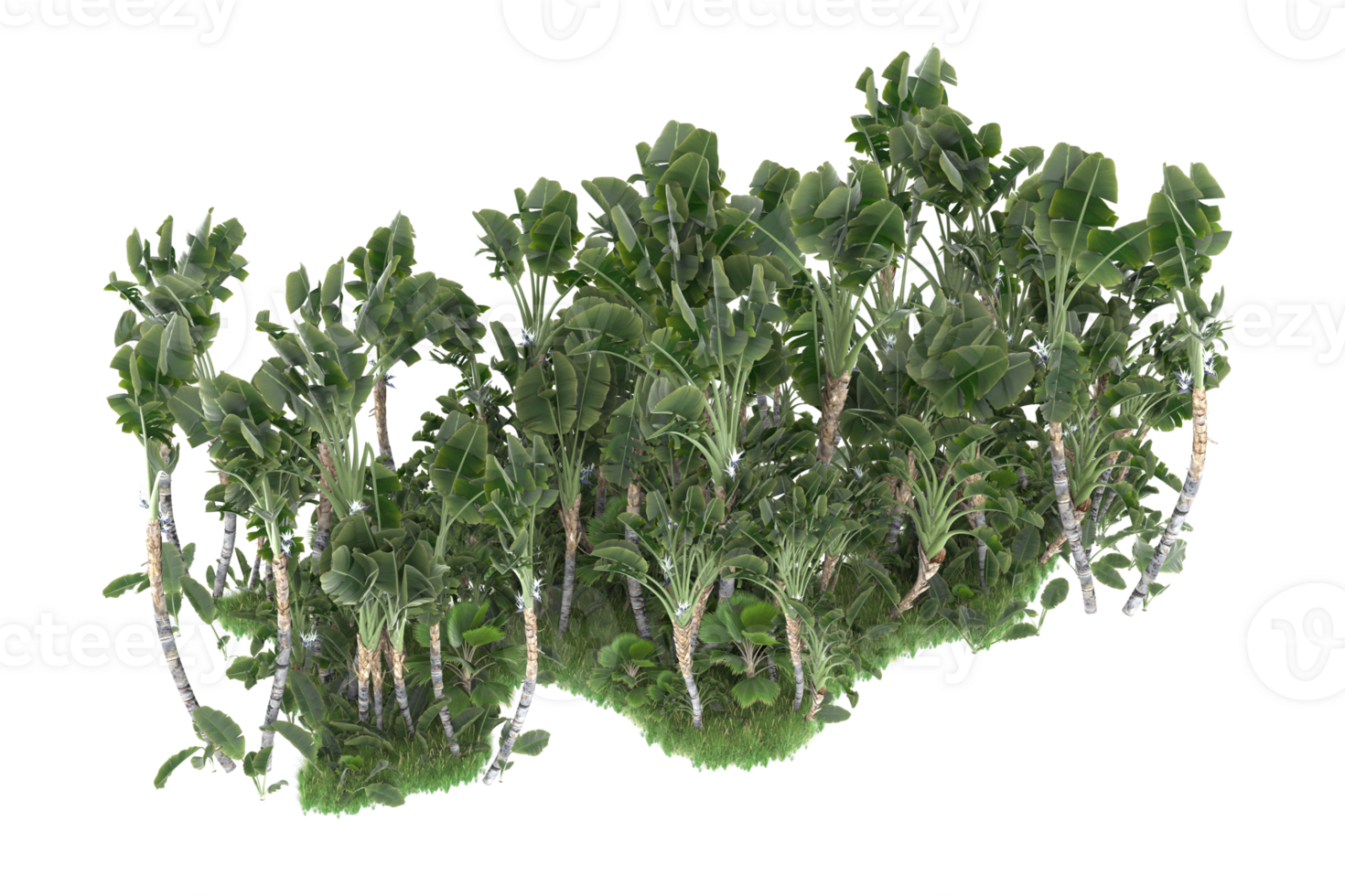 Realistic forest isolated on transparent background. 3d rendering - illustration png