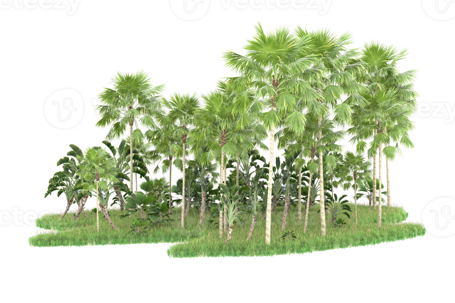 Realistic forest isolated on transparent background. 3d rendering - illustration png