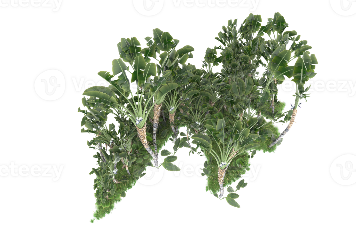 Realistic forest isolated on transparent background. 3d rendering - illustration png