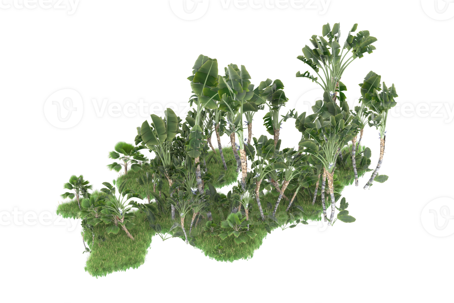 Realistic forest isolated on transparent background. 3d rendering - illustration png