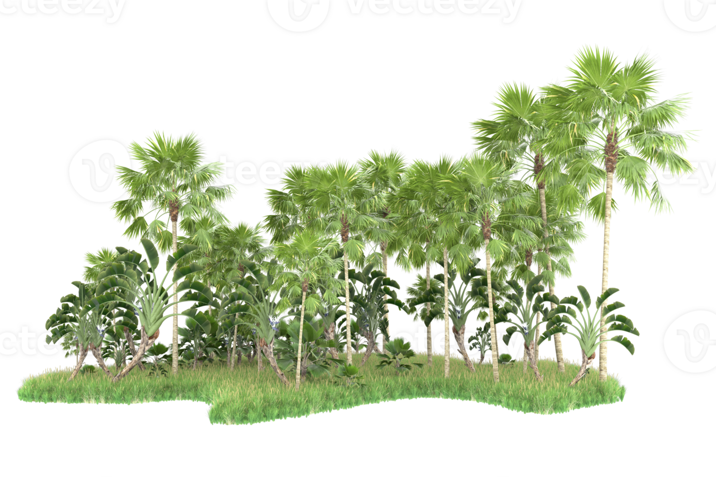 Realistic forest isolated on transparent background. 3d rendering - illustration png
