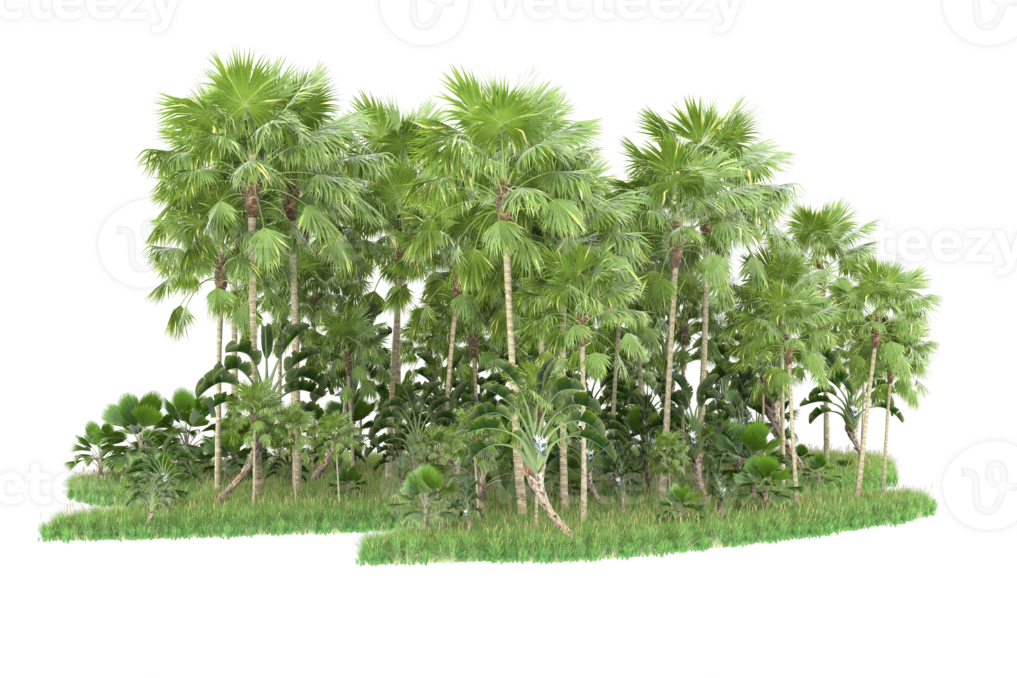 Realistic forest isolated on transparent background. 3d rendering - illustration png