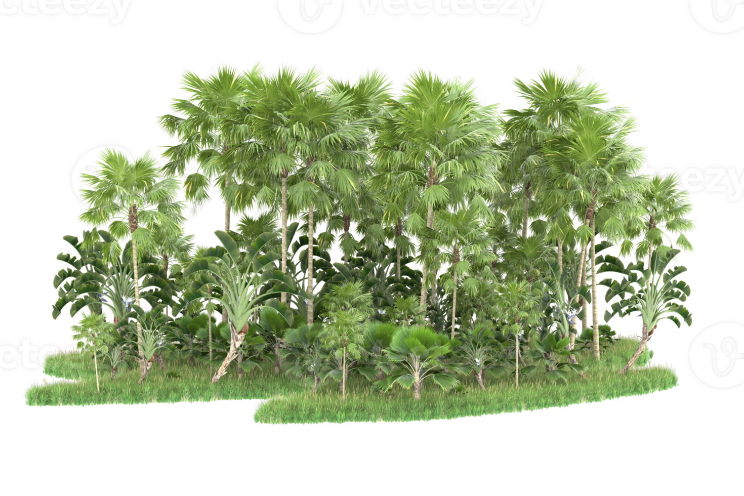 Realistic forest isolated on transparent background. 3d rendering - illustration png
