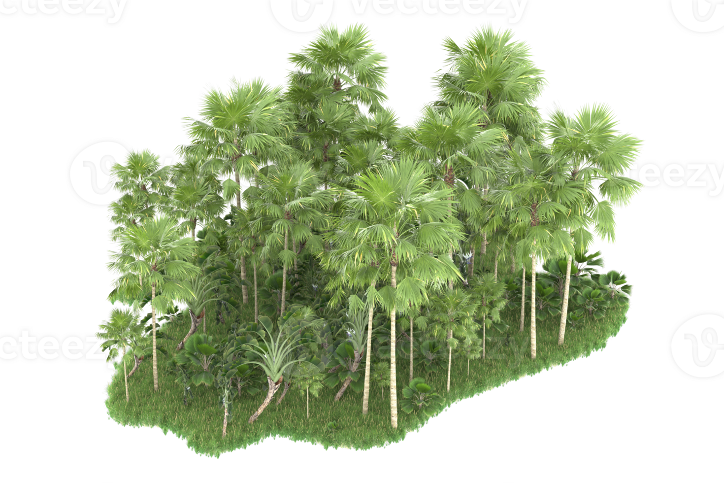 Realistic forest isolated on transparent background. 3d rendering - illustration png