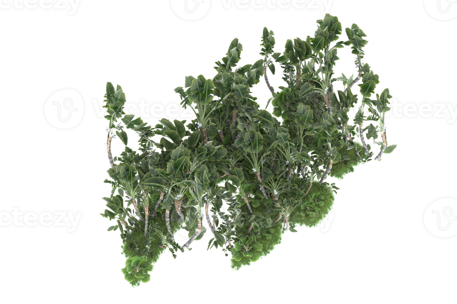 Realistic forest isolated on transparent background. 3d rendering - illustration png