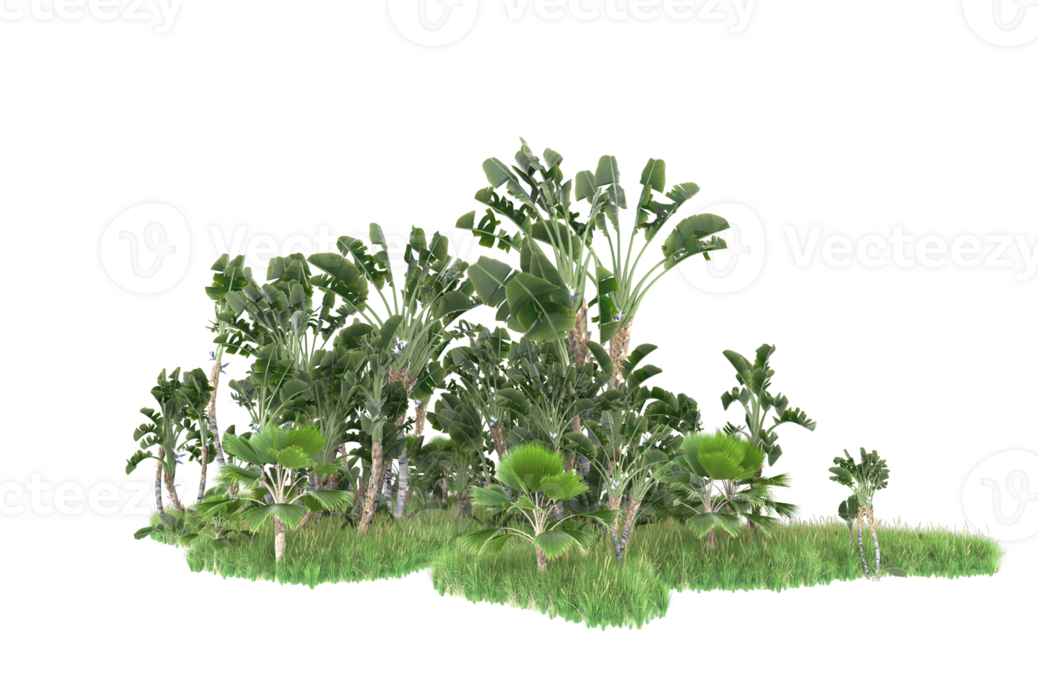 Realistic forest isolated on transparent background. 3d rendering - illustration png