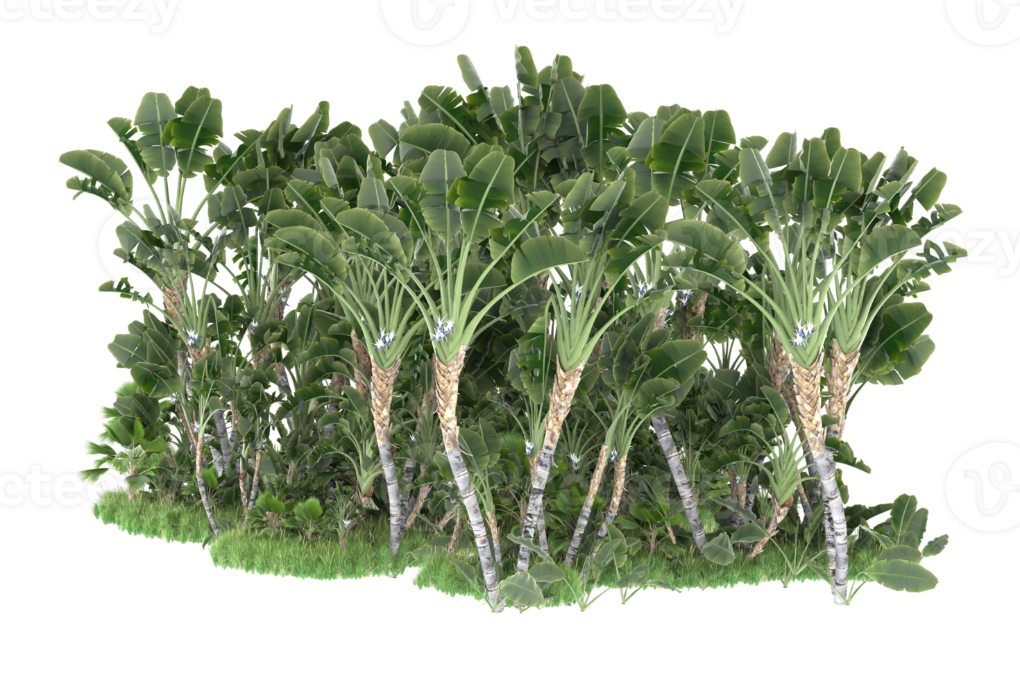 Realistic forest isolated on transparent background. 3d rendering - illustration png