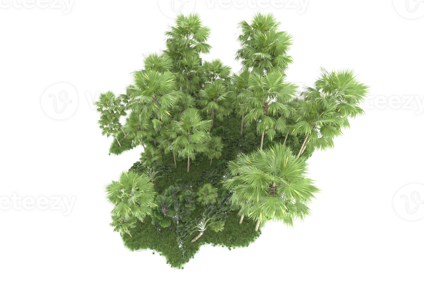 Realistic forest isolated on transparent background. 3d rendering - illustration png