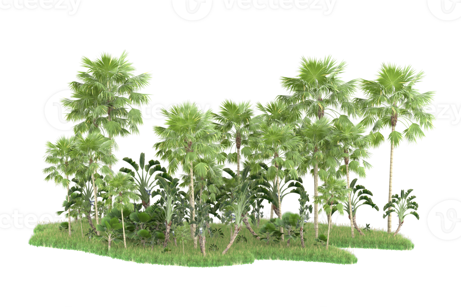 Realistic forest isolated on transparent background. 3d rendering - illustration png