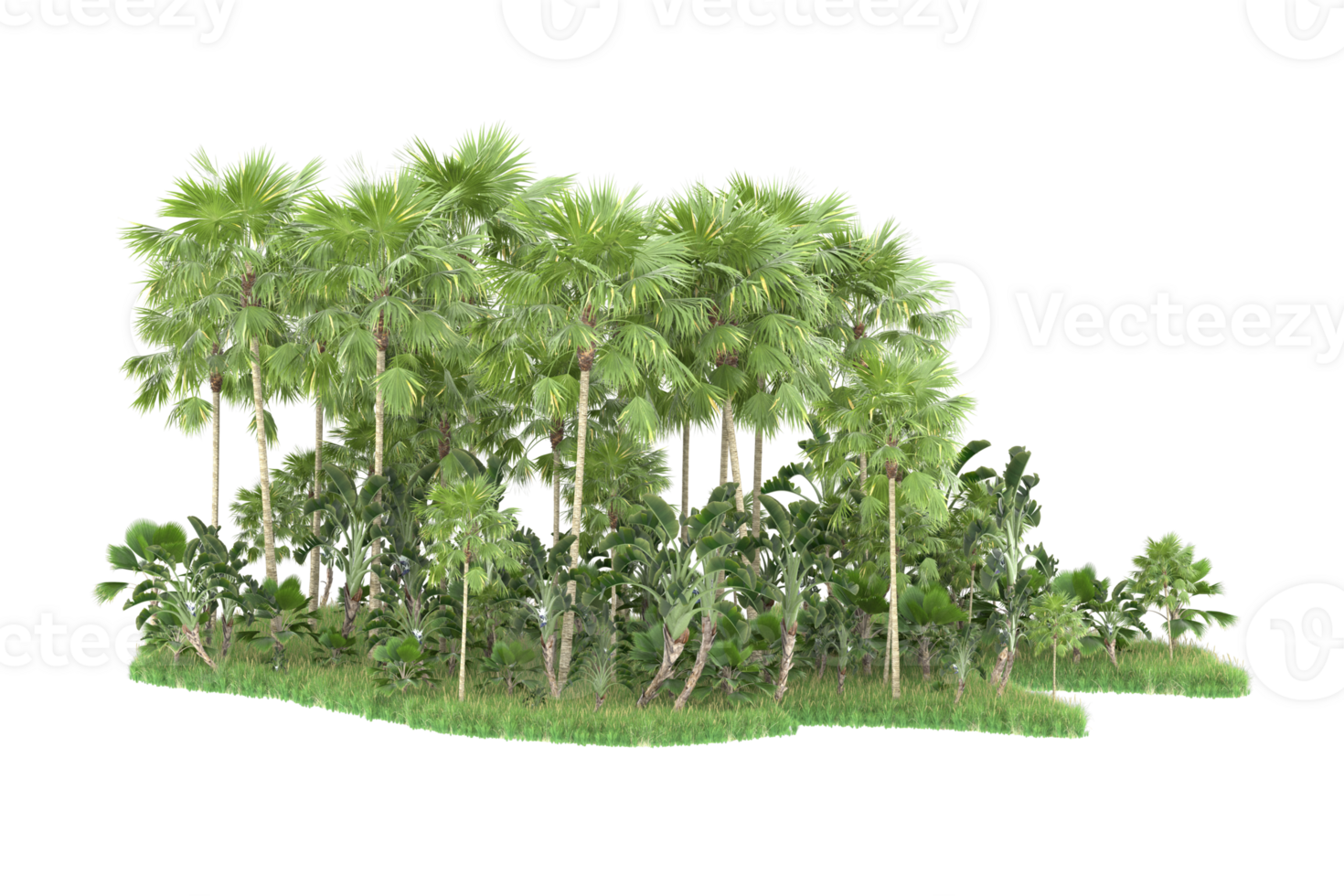 Realistic forest isolated on transparent background. 3d rendering - illustration png