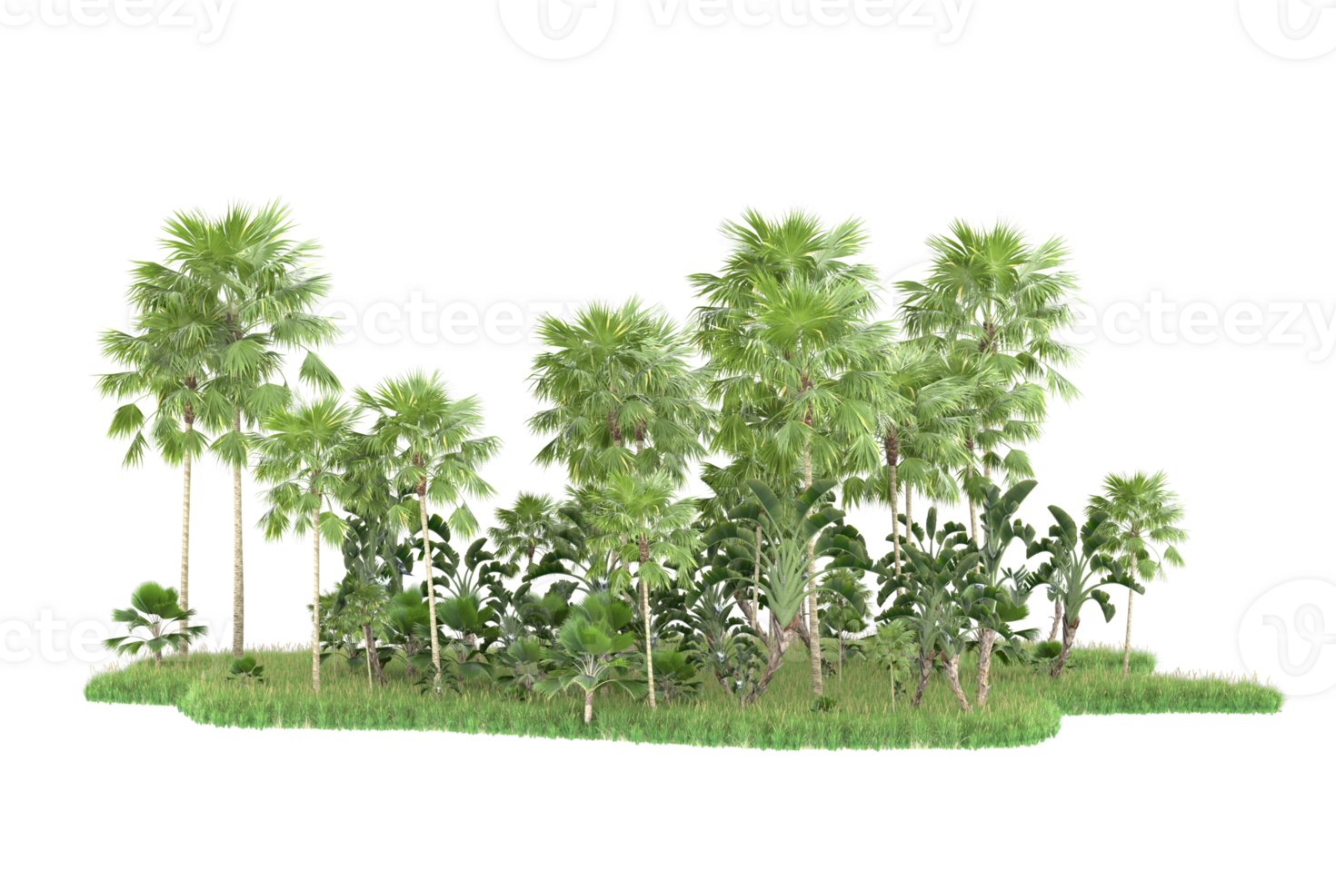 Realistic forest isolated on transparent background. 3d rendering - illustration png