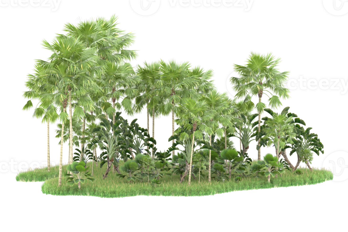 Realistic forest isolated on transparent background. 3d rendering - illustration png