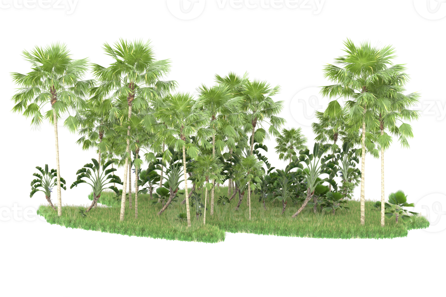 Realistic forest isolated on transparent background. 3d rendering - illustration png