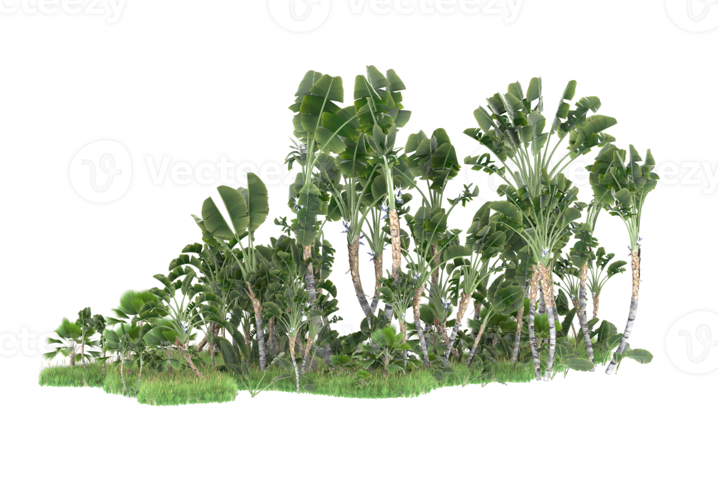 Realistic forest isolated on transparent background. 3d rendering - illustration png