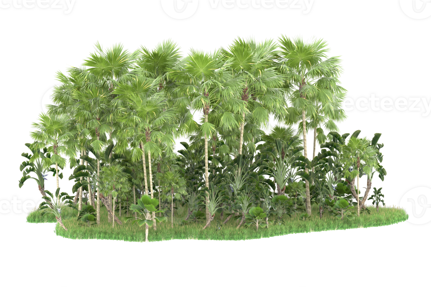 Realistic forest isolated on transparent background. 3d rendering - illustration png