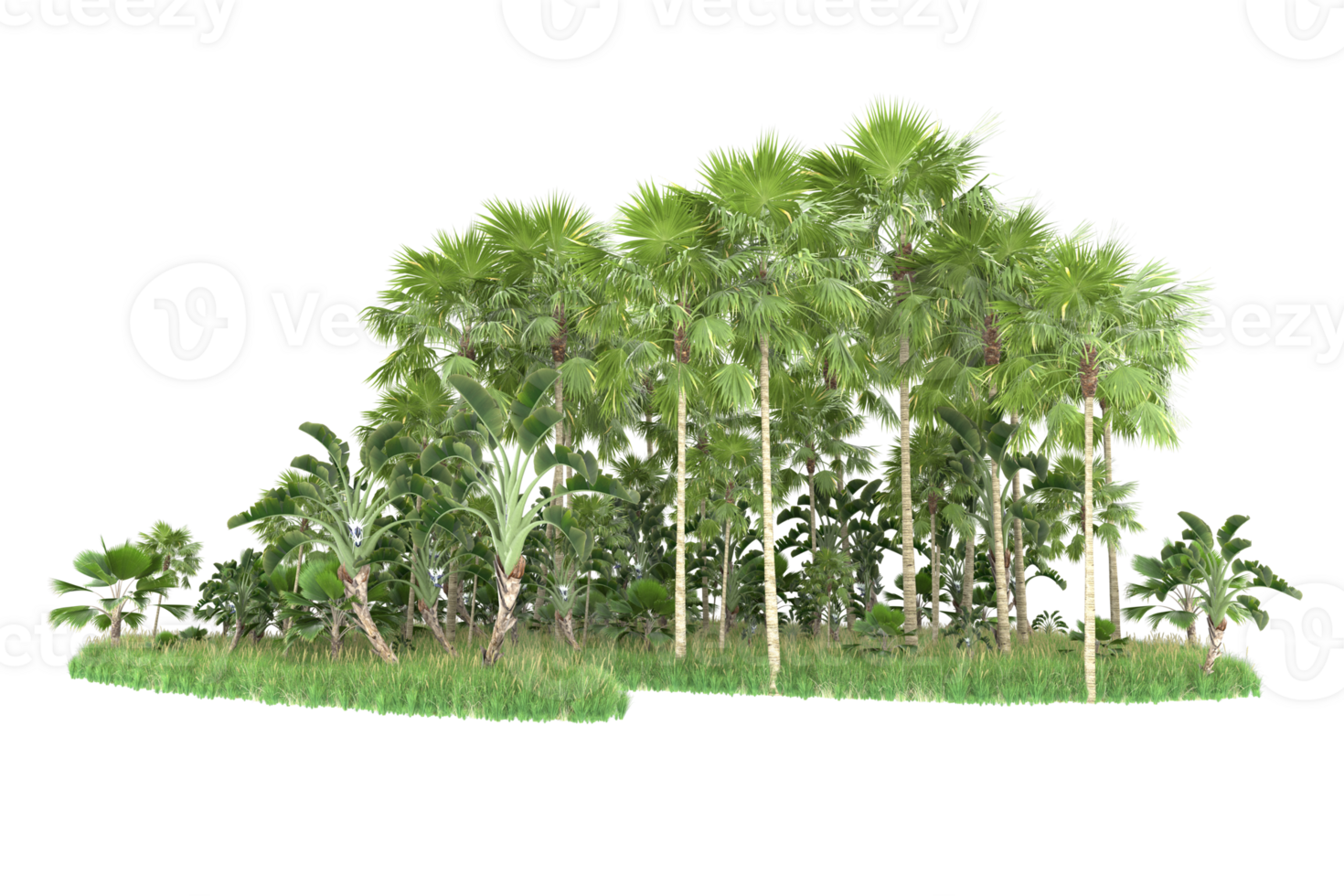 Realistic forest isolated on transparent background. 3d rendering - illustration png