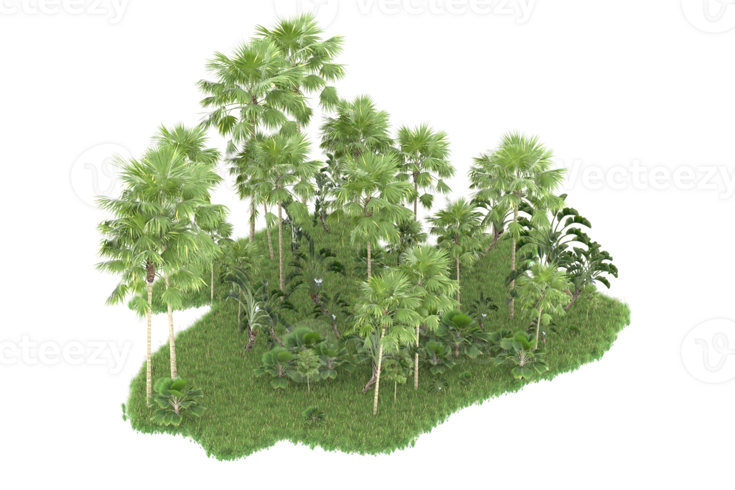 Realistic forest isolated on transparent background. 3d rendering - illustration png