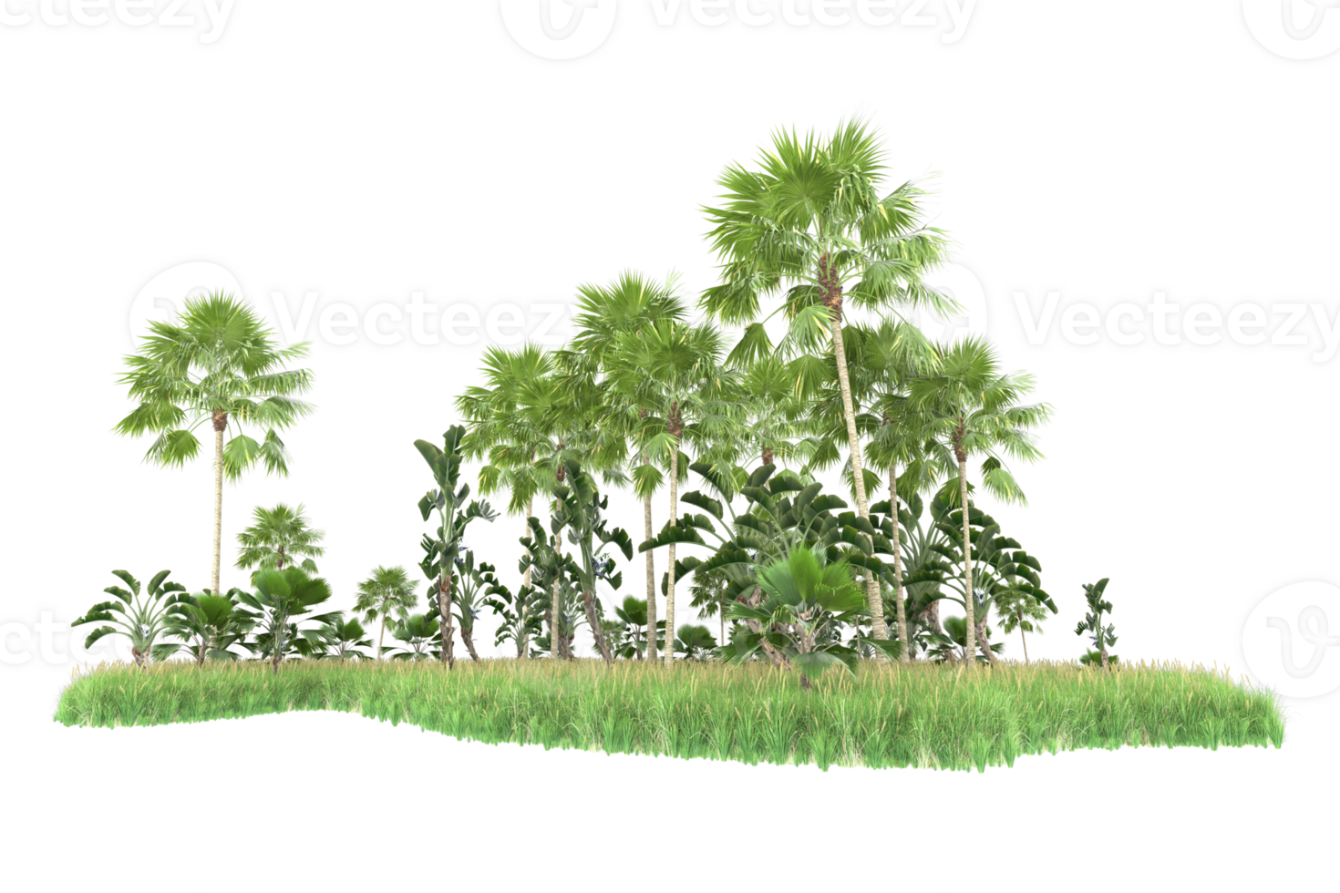 Realistic forest isolated on transparent background. 3d rendering - illustration png