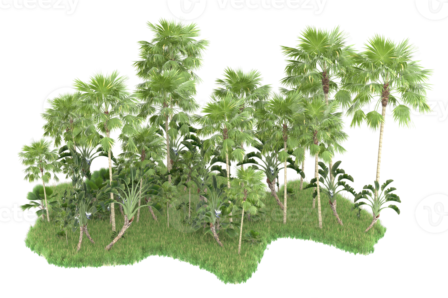 Realistic forest isolated on transparent background. 3d rendering - illustration png