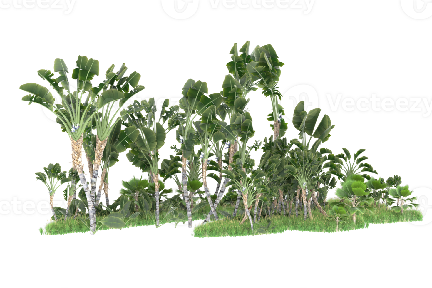 Realistic forest isolated on transparent background. 3d rendering - illustration png