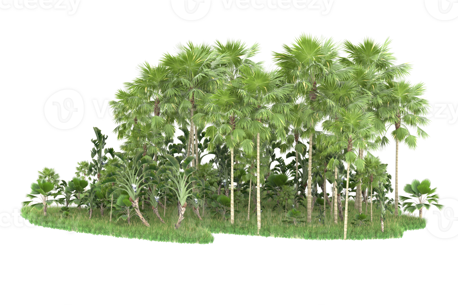 Realistic forest isolated on transparent background. 3d rendering - illustration png