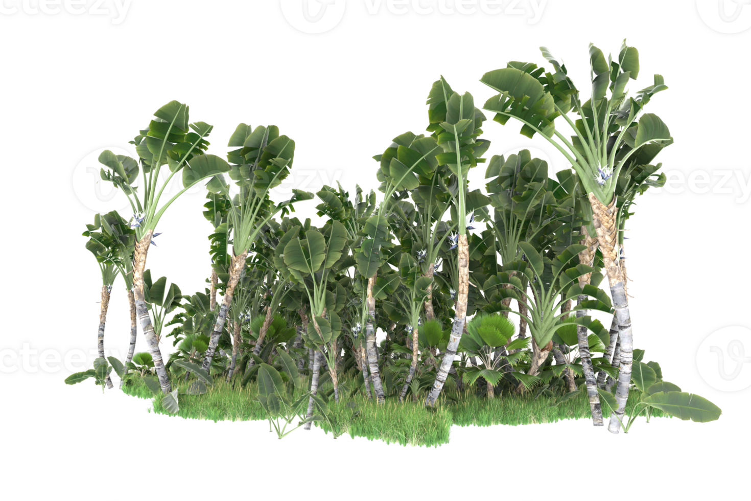 Realistic forest isolated on transparent background. 3d rendering - illustration png
