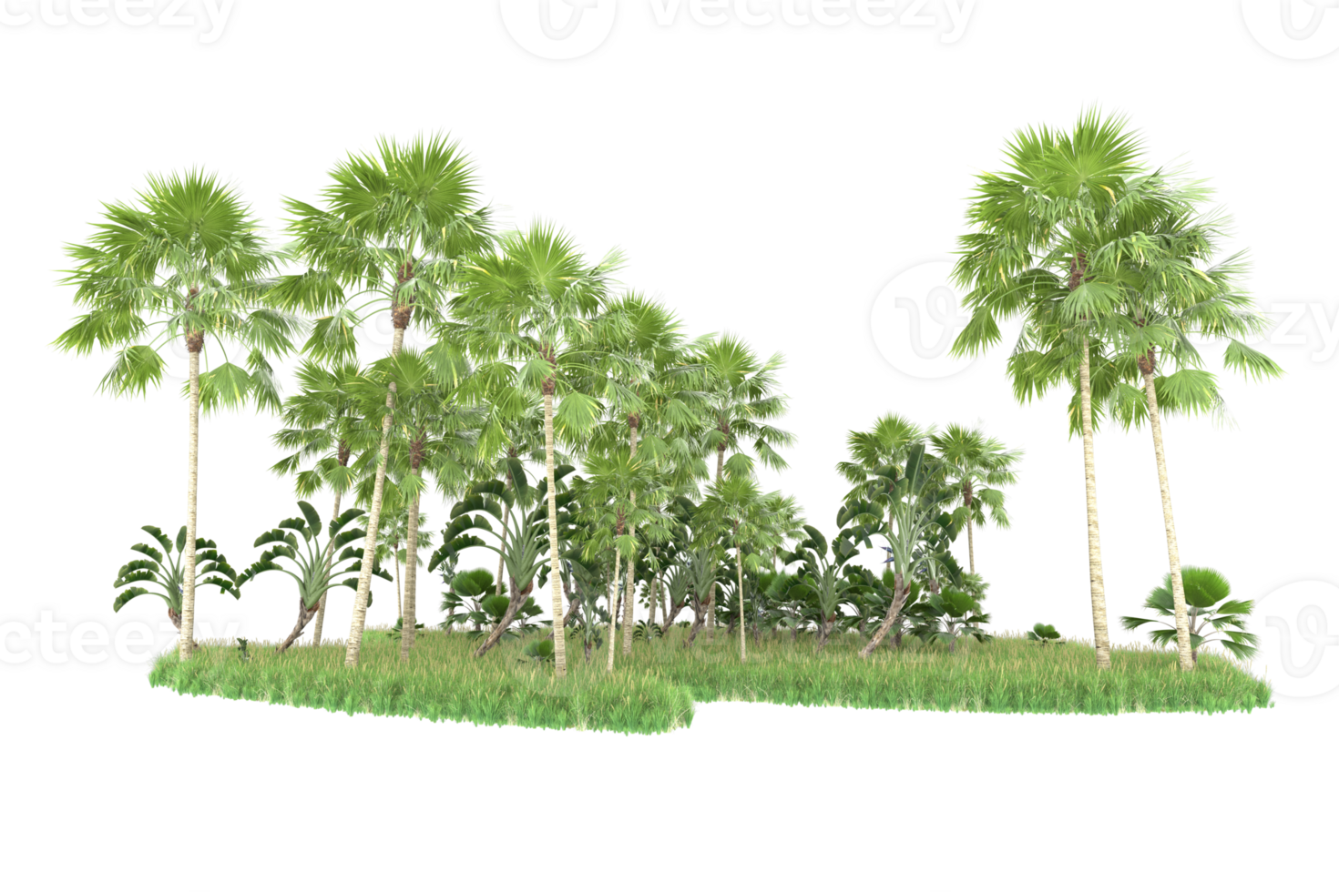 Realistic forest isolated on transparent background. 3d rendering - illustration png
