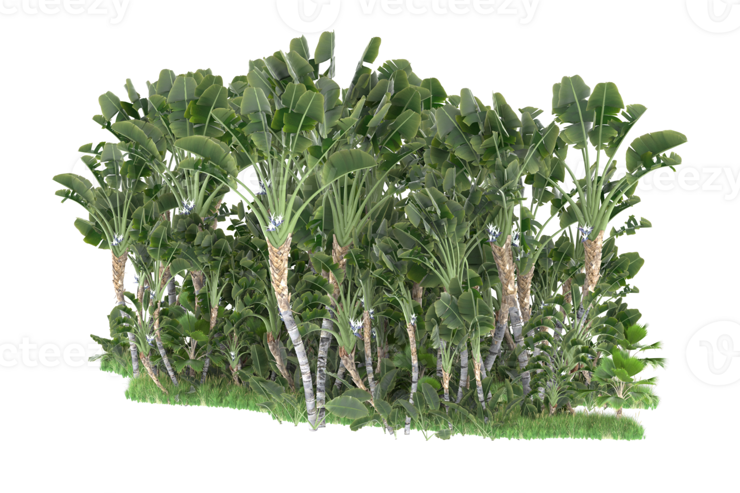 Realistic forest isolated on transparent background. 3d rendering - illustration png