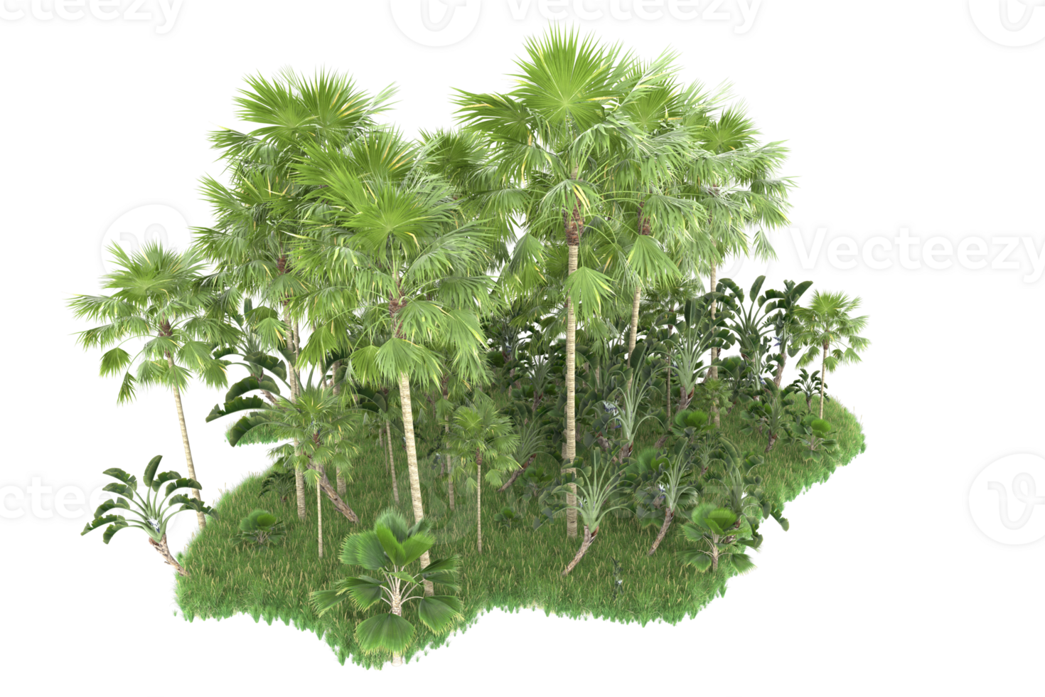 Realistic forest isolated on transparent background. 3d rendering - illustration png