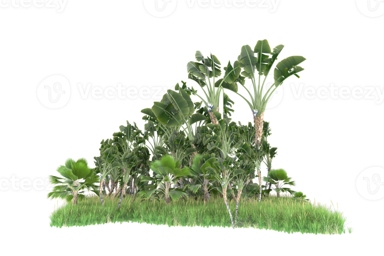 Realistic forest isolated on transparent background. 3d rendering - illustration png
