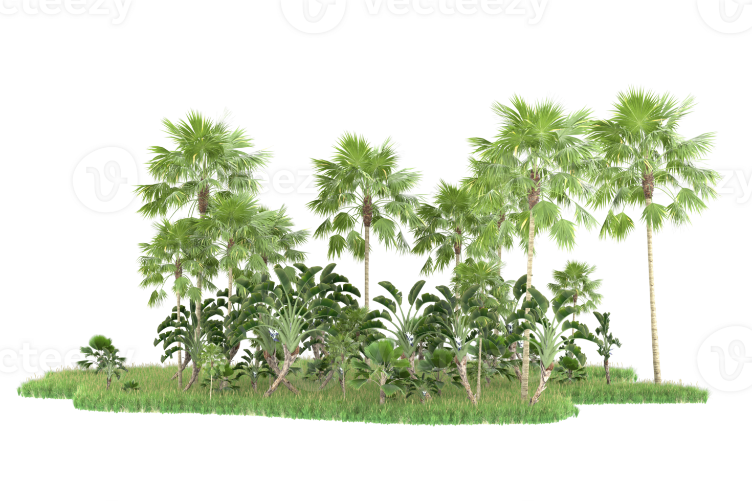 Realistic forest isolated on transparent background. 3d rendering - illustration png