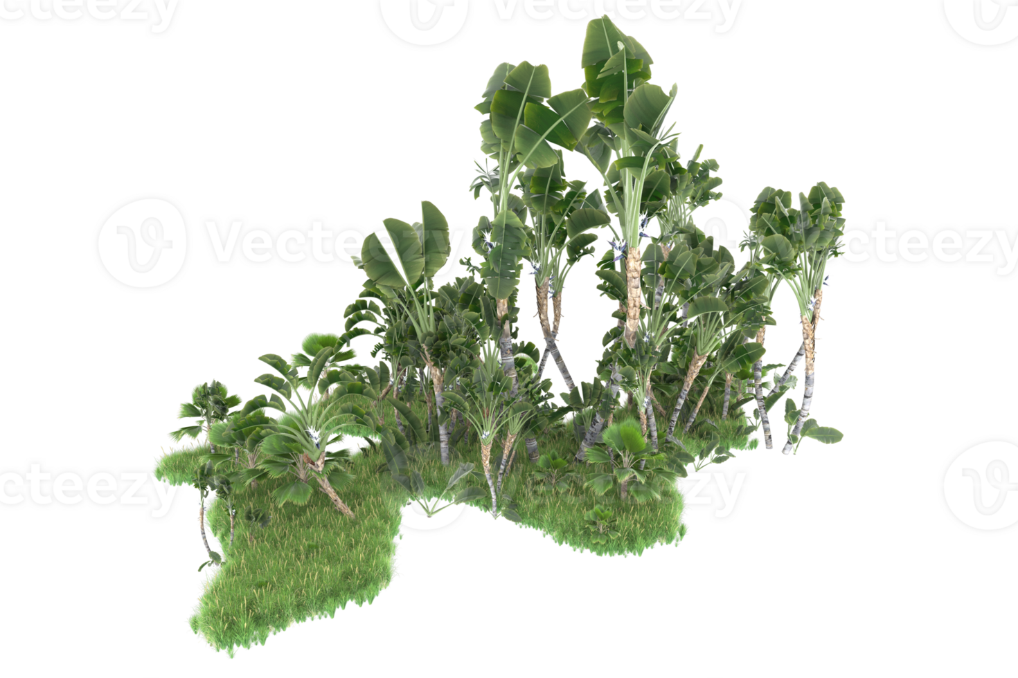Realistic forest isolated on transparent background. 3d rendering - illustration png